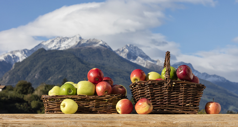 manzanas-val-venosta-biodiversidad