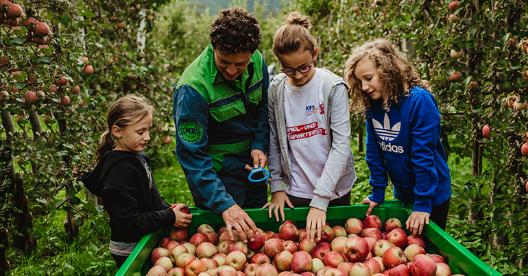 Un servicio de primera desde el Paraíso de las Manzanas